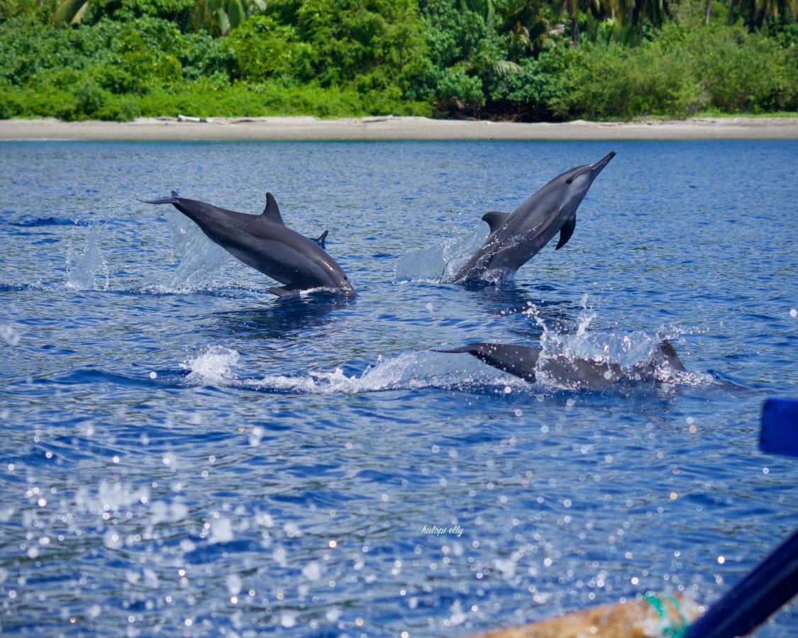 Araya Dive Resort Togean Bomba Εξωτερικό φωτογραφία