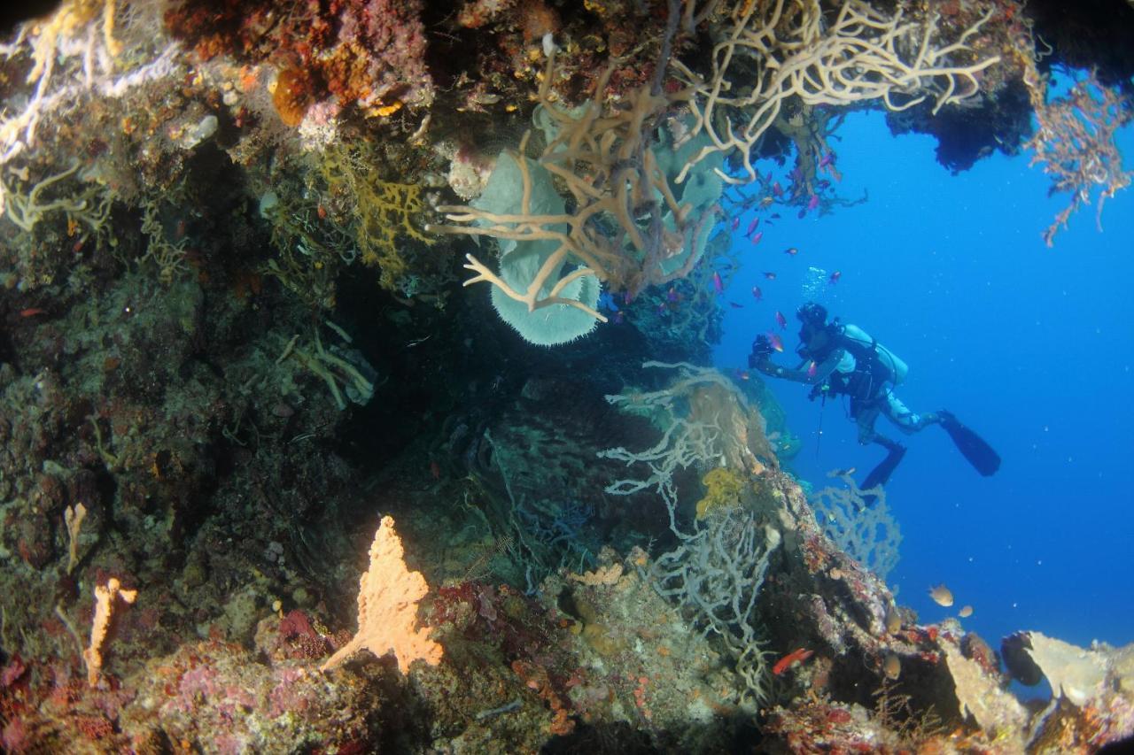 Araya Dive Resort Togean Bomba Εξωτερικό φωτογραφία