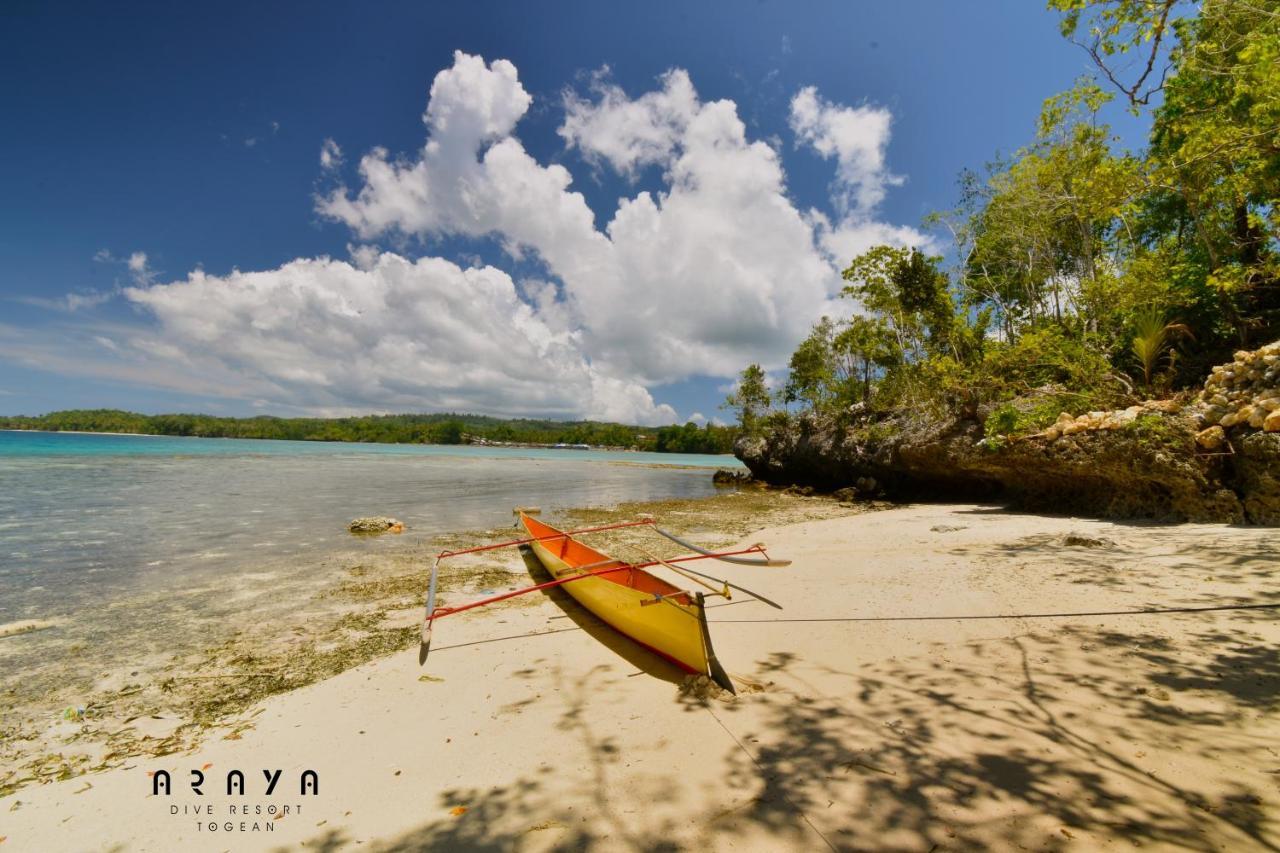 Araya Dive Resort Togean Bomba Εξωτερικό φωτογραφία