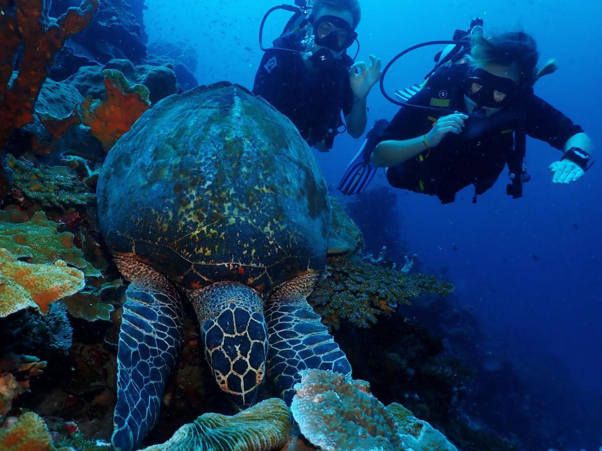 Araya Dive Resort Togean Bomba Εξωτερικό φωτογραφία