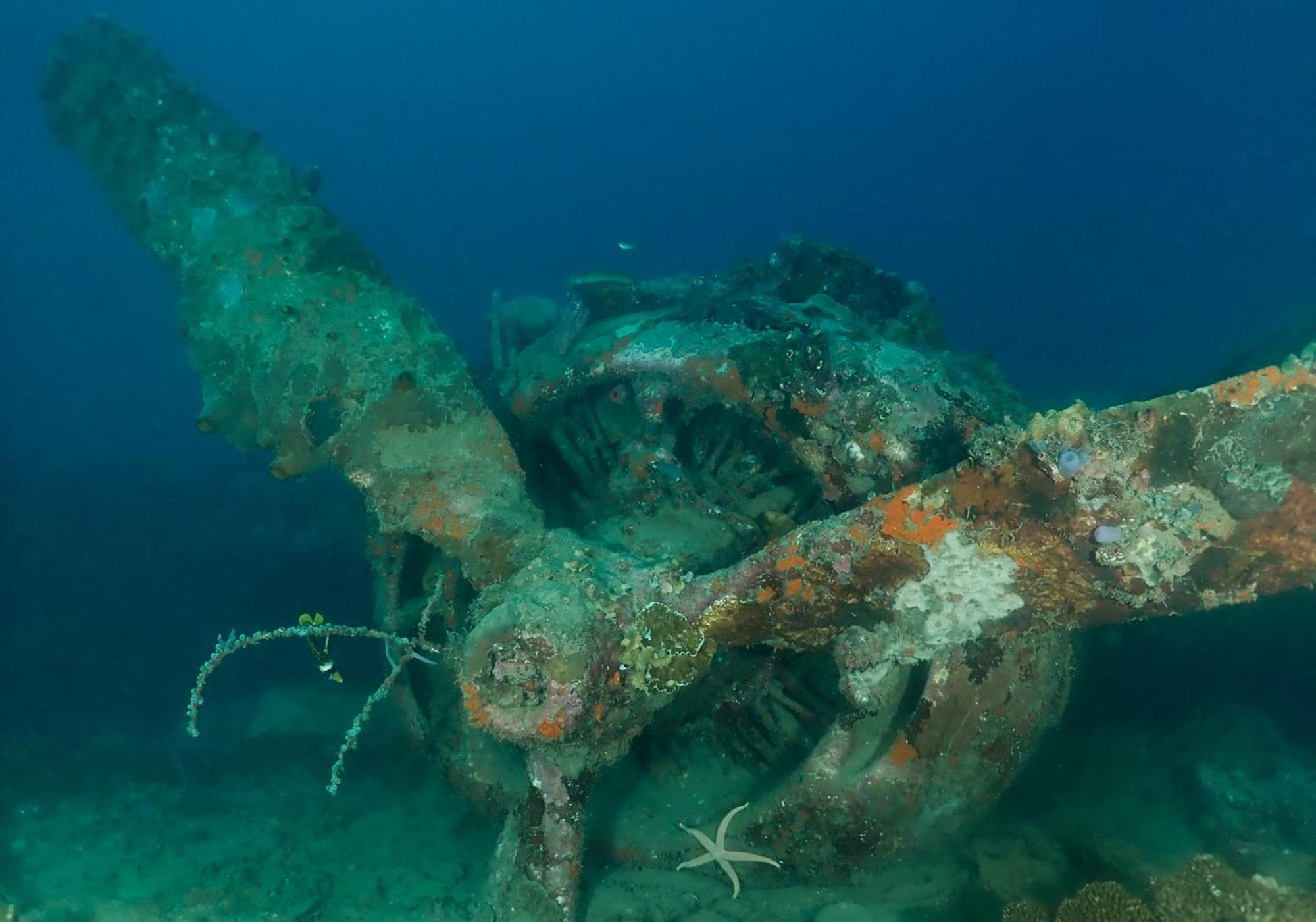 Araya Dive Resort Togean Bomba Εξωτερικό φωτογραφία